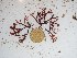  ( - GWS027435)  @11 [ ] Unspecified (default): All Rights Reserved  Unspecified Unspecified