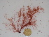  ( - GWS027579)  @11 [ ] Unspecified (default): All Rights Reserved  Unspecified Unspecified