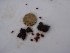  ( - GWS028277)  @11 [ ] Unspecified (default): All Rights Reserved  Unspecified Unspecified