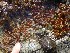  ( - GWS028353)  @11 [ ] Unspecified (default): All Rights Reserved  Unspecified Unspecified
