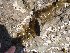  ( - GWS028366)  @11 [ ] Unspecified (default): All Rights Reserved  Unspecified Unspecified