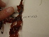  ( - GWS031153)  @11 [ ] Unspecified (default): All Rights Reserved  Unspecified Unspecified