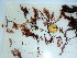  ( - GWS032362)  @11 [ ] Unspecified (default): All Rights Reserved  Unspecified Unspecified