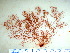  ( - GWS032387)  @11 [ ] Unspecified (default): All Rights Reserved  Unspecified Unspecified