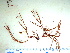  ( - GWS032388)  @11 [ ] Unspecified (default): All Rights Reserved  Unspecified Unspecified