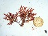  ( - GWS034853)  @11 [ ] Unspecified (default): All Rights Reserved  Unspecified Unspecified