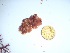  ( - GWS035206)  @11 [ ] Unspecified (default): All Rights Reserved  Unspecified Unspecified