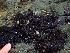  ( - GWS035300)  @11 [ ] Unspecified (default): All Rights Reserved  Unspecified Unspecified
