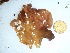  ( - GWS035333)  @11 [ ] Unspecified (default): All Rights Reserved  Unspecified Unspecified
