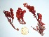  ( - GWS035363)  @11 [ ] Unspecified (default): All Rights Reserved  Unspecified Unspecified