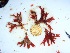  ( - GWS035394)  @11 [ ] Unspecified (default): All Rights Reserved  Unspecified Unspecified