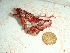  ( - GWS035538)  @11 [ ] Unspecified (default): All Rights Reserved  Unspecified Unspecified