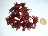  ( - GWS035606)  @11 [ ] Unspecified (default): All Rights Reserved  Unspecified Unspecified