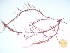  ( - GWS035613)  @11 [ ] Unspecified (default): All Rights Reserved  Unspecified Unspecified