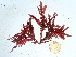  ( - GWS035627)  @11 [ ] Unspecified (default): All Rights Reserved  Unspecified Unspecified