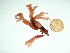  ( - GWS035668)  @11 [ ] Unspecified (default): All Rights Reserved  Unspecified Unspecified