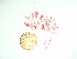  ( - GWS035682)  @11 [ ] Unspecified (default): All Rights Reserved  Unspecified Unspecified