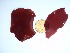  ( - GWS035739)  @11 [ ] Unspecified (default): All Rights Reserved  Unspecified Unspecified