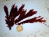  ( - GWS035788)  @11 [ ] Unspecified (default): All Rights Reserved  Unspecified Unspecified