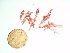  ( - GWS035801)  @11 [ ] Unspecified (default): All Rights Reserved  Unspecified Unspecified
