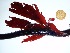  ( - GWS035811)  @11 [ ] Unspecified (default): All Rights Reserved  Unspecified Unspecified