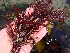  ( - GWS035890)  @11 [ ] Unspecified (default): All Rights Reserved  Unspecified Unspecified