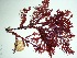  ( - GWS035968)  @11 [ ] Unspecified (default): All Rights Reserved  Unspecified Unspecified