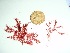  ( - GWS035974)  @11 [ ] Unspecified (default): All Rights Reserved  Unspecified Unspecified