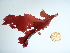  ( - GWS036041)  @11 [ ] Unspecified (default): All Rights Reserved  Unspecified Unspecified