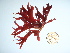  ( - GWS036047)  @11 [ ] Unspecified (default): All Rights Reserved  Unspecified Unspecified