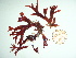  ( - GWS036059)  @11 [ ] Unspecified (default): All Rights Reserved  Unspecified Unspecified