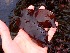  ( - GWS036070)  @11 [ ] Unspecified (default): All Rights Reserved  Unspecified Unspecified