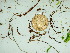  ( - GWS036272)  @11 [ ] Unspecified (default): All Rights Reserved  Unspecified Unspecified