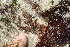 ( - GWS036303)  @11 [ ] Unspecified (default): All Rights Reserved  Unspecified Unspecified