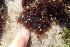  ( - GWS036306)  @11 [ ] Unspecified (default): All Rights Reserved  Unspecified Unspecified