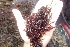  ( - GWS036401)  @11 [ ] Unspecified (default): All Rights Reserved  Unspecified Unspecified