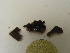  ( - GWS036435)  @11 [ ] Unspecified (default): All Rights Reserved  Unspecified Unspecified