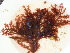  ( - GWS036705)  @11 [ ] Unspecified (default): All Rights Reserved  Unspecified Unspecified