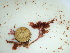  ( - GWS036755)  @11 [ ] Unspecified (default): All Rights Reserved  Unspecified Unspecified