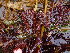  ( - GWS036779)  @11 [ ] Unspecified (default): All Rights Reserved  Unspecified Unspecified