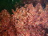  ( - GWS036816)  @11 [ ] Unspecified (default): All Rights Reserved  Unspecified Unspecified