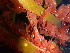 ( - GWS036827)  @11 [ ] Unspecified (default): All Rights Reserved  Unspecified Unspecified