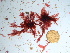  ( - GWS036858)  @11 [ ] Unspecified (default): All Rights Reserved  Unspecified Unspecified