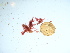  ( - GWS036884)  @11 [ ] Unspecified (default): All Rights Reserved  Unspecified Unspecified
