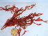  ( - GWS037002)  @11 [ ] Unspecified (default): All Rights Reserved  Unspecified Unspecified