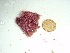  ( - GWS037287)  @11 [ ] Unspecified (default): All Rights Reserved  Unspecified Unspecified