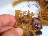  ( - GWS037516)  @11 [ ] Unspecified (default): All Rights Reserved  Unspecified Unspecified