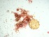  ( - GWS037628)  @11 [ ] Unspecified (default): All Rights Reserved  Unspecified Unspecified