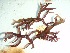  ( - GWS037691)  @11 [ ] Unspecified (default): All Rights Reserved  Unspecified Unspecified