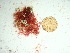  ( - GWS037747)  @11 [ ] Unspecified (default): All Rights Reserved  Unspecified Unspecified